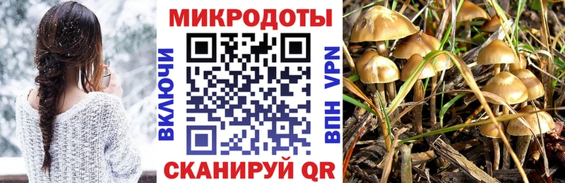 Галлюциногенные грибы мухоморы  Фрязино 