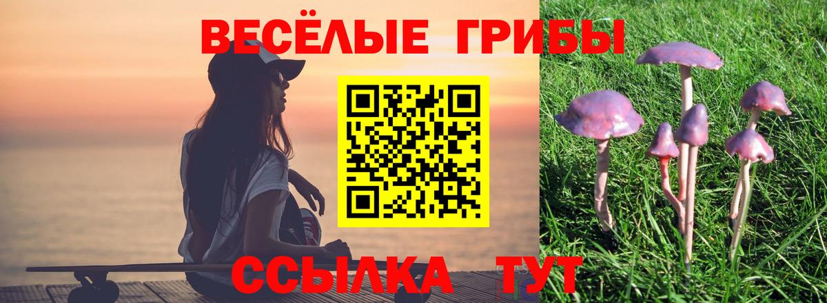 Фрязино  Псилоцибиновые грибы мухоморы  дарнет шоп  Вход с VPN 